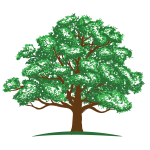 White Oak Insurance Logo Favicon is depicted with a strong White Oak tree full of green foliage growing on the crest of a hilltop. The symbol of White Oak tree is used to symbolize White Oak Insurance's commitment to its customers by providing exceptional service with knowledgeable Insurance agents and reputable insurance carriers.